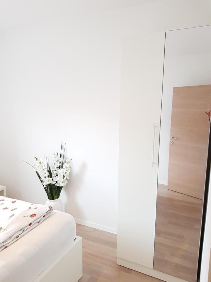 Apartmani Aria روغوزنيكا المظهر الخارجي الصورة